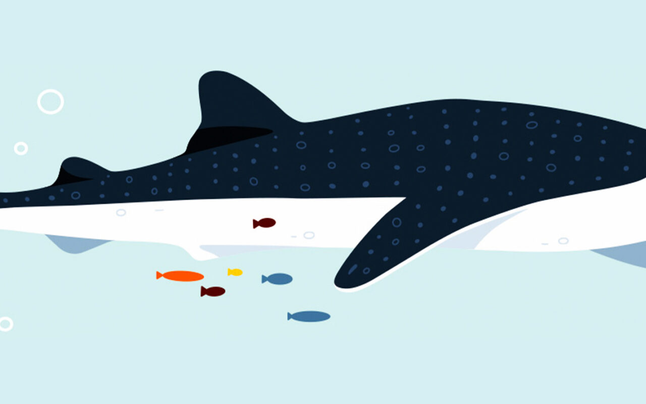 Bethel-samy-loewe-illustrationen