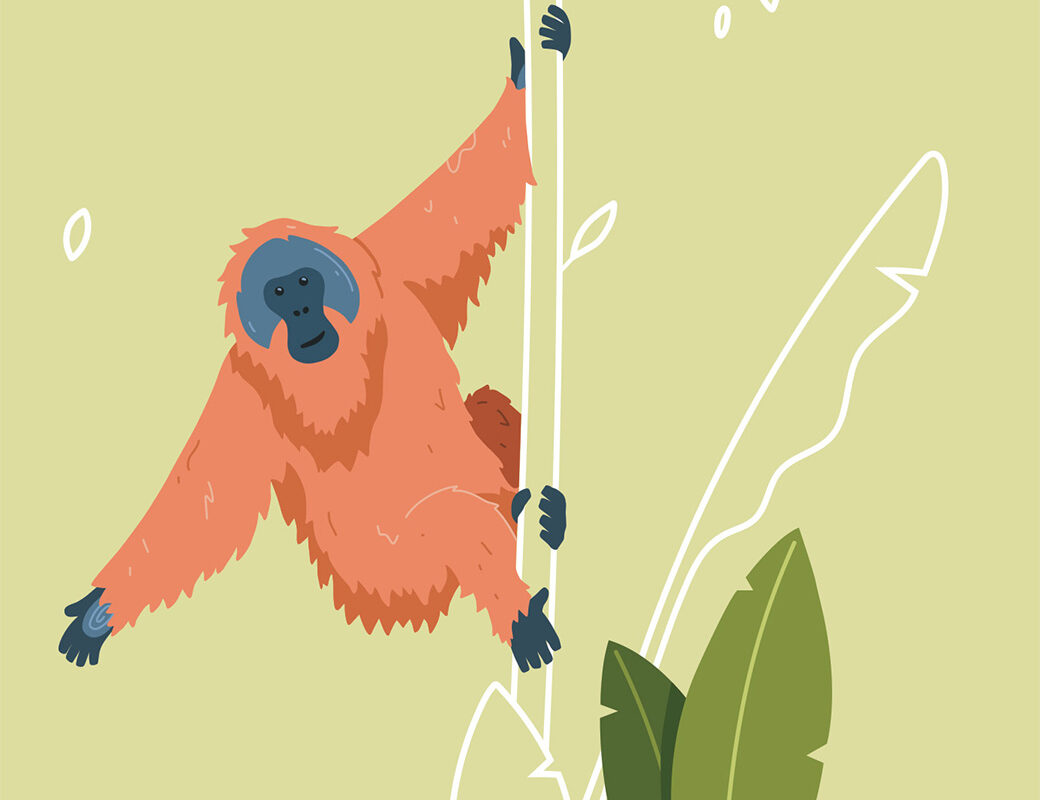 03_Bethel-Samy-Loewe-Illustrationen