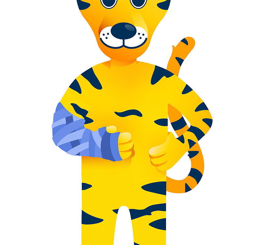 09_Mascots-samy-loewe